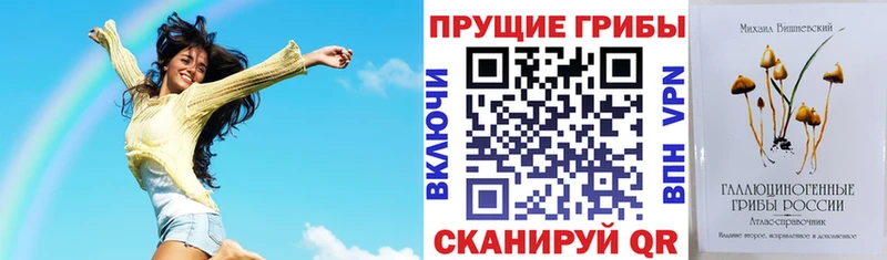 Псилоцибиновые грибы прущие грибы Касимов