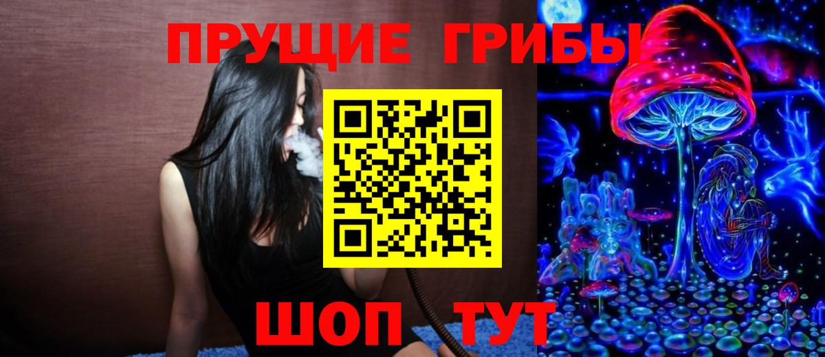 Касимов  Псилоцибиновые грибы Psilocybine cubensis  Галлюциногенные грибы Cubensis  закладка  Вход с VPN 
